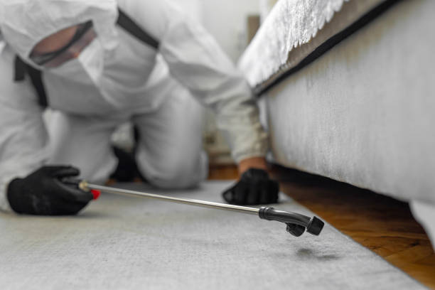 Professional Termite Control technician working in Humboldt, IA