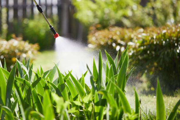 24/7 Emergency Termite Control experts in Humboldt, IA
