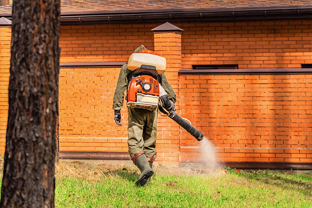 Trusted Termite Control service in Humboldt, IA - Nex Pest Control